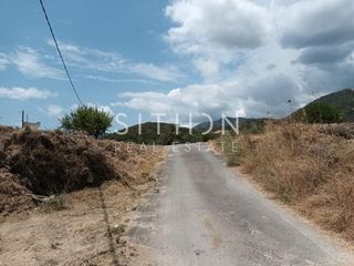 Αγροτεμάχια 16.190 τ.μ. για πώληση