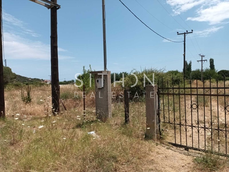 Αγροτεμάχια 16.190 τ.μ. προς πώληση, Συκιά Τορώνης