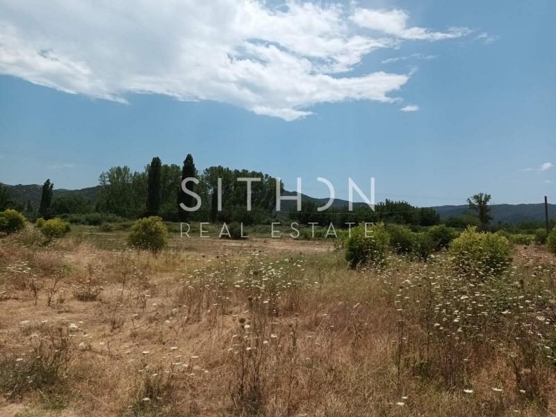 Αγροτεμάχια 16.190 τ.μ. προς πώληση, Συκιά Τορώνης