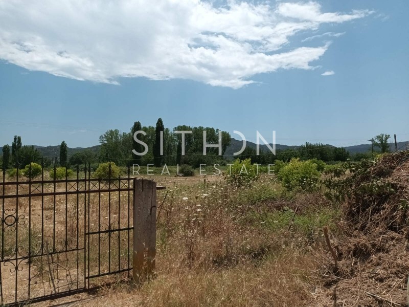 Αγροτεμάχια 16.190 τ.μ. προς πώληση, Συκιά Τορώνης