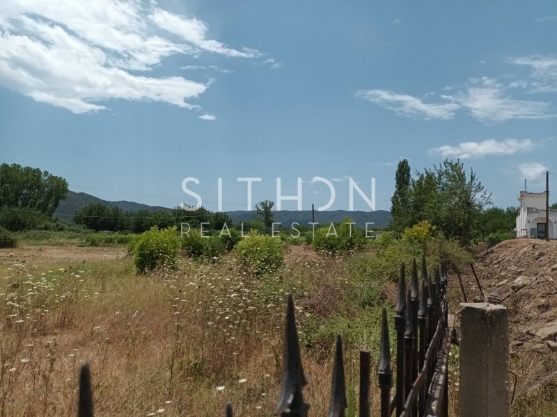 Αγροτεμάχια 16.190 τ.μ. προς πώληση, Συκιά Τορώνης