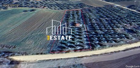 Αγροτεμάχια 3.300τ.μ. για πώληση-Αλεξανδρούπολη » Άβαντας