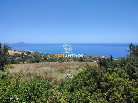 Οικόπεδο 2.500 τ.μ. για πώληση