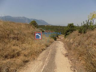Οικόπεδο 468 τ.μ. πρός πώληση, Φθιώτιδας, Λαμία-thumb-7