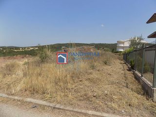 Οικόπεδο 468 τ.μ. πρός πώληση, Φθιώτιδας, Λαμία-thumb-12
