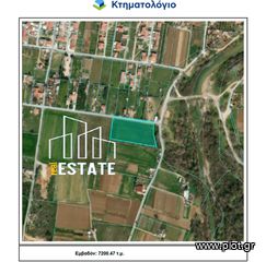 Αγροτεμάχια 7.200 τ.μ. για πώληση