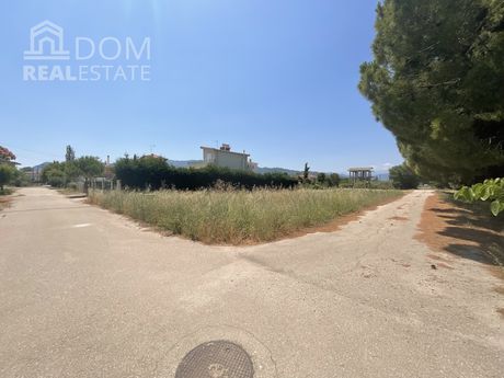 Οικόπεδο 500τ.μ. για πώληση-Καμένα βούρλα » Νέο θρόνιο