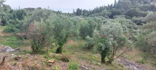 Αγροτεμάχια 1.206 τ.μ. για πώληση, Ν. Λευκάδας, Λευκάδα-thumb-11