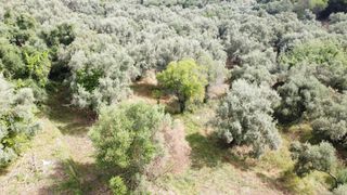 Αγροτεμάχια 1.206 τ.μ. για πώληση, Ν. Λευκάδας, Λευκάδα-thumb-2