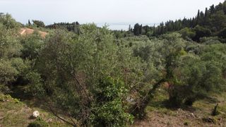 Αγροτεμάχια 1.206 τ.μ. για πώληση, Ν. Λευκάδας, Λευκάδα-thumb-14