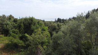 Αγροτεμάχια 1.206 τ.μ. για πώληση, Ν. Λευκάδας, Λευκάδα-thumb-17