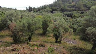 Αγροτεμάχια 1.206 τ.μ. για πώληση, Ν. Λευκάδας, Λευκάδα-thumb-12