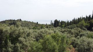 Αγροτεμάχια 1.206 τ.μ. για πώληση, Ν. Λευκάδας, Λευκάδα-thumb-3