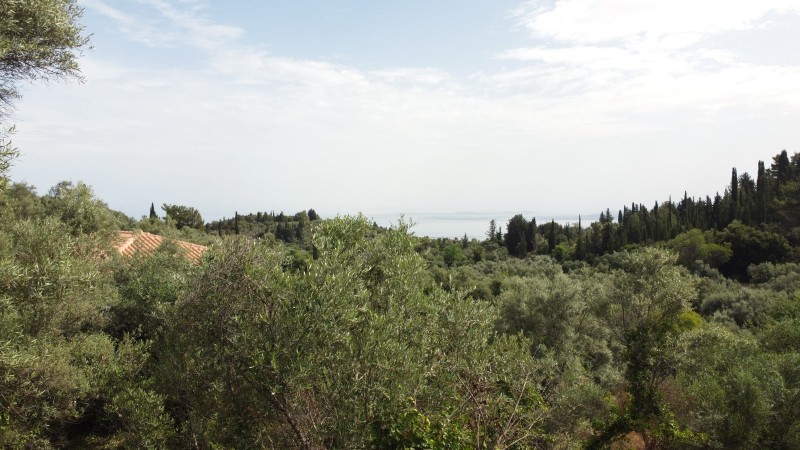 Αγροτεμάχια 1.206 τ.μ. προς πώληση, Σφακιώτες