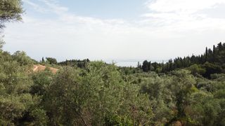 Αγροτεμάχια 1.206 τ.μ. για πώληση, Ν. Λευκάδας, Λευκάδα-thumb-4