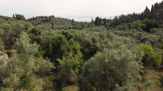 Αγροτεμάχια 1.206 τ.μ. για πώληση, Ν. Λευκάδας, Λευκάδα-thumb-15