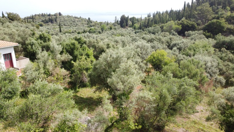Αγροτεμάχια 1.206 τ.μ. για πώληση, Ν. Λευκάδας, Λευκάδα