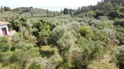 Parcel 1.063sqm for sale-Lefkada » Sfakiotes