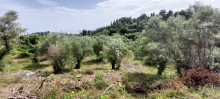 Αγροτεμάχια 1.206 τ.μ. για πώληση, Ν. Λευκάδας, Λευκάδα-thumb-7