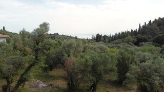 Αγροτεμάχια 1.206 τ.μ. για πώληση, Ν. Λευκάδας, Λευκάδα-thumb-13