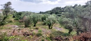 Αγροτεμάχια 1.206 τ.μ. για πώληση, Ν. Λευκάδας, Λευκάδα-thumb-10