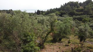 Αγροτεμάχια 1.206 τ.μ. για πώληση, Ν. Λευκάδας, Λευκάδα-thumb-16