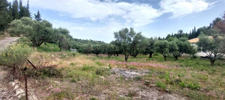 Αγροτεμάχια 2.001 τ.μ. για πώληση, Ν. Λευκάδας, Λευκάδα