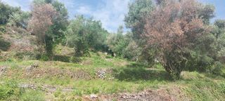 Αγροτεμάχια 2.001 τ.μ. για πώληση, Ν. Λευκάδας, Λευκάδα-thumb-9