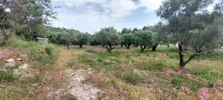Αγροτεμάχια 2.001 τ.μ. για πώληση, Ν. Λευκάδας, Λευκάδα-thumb-8