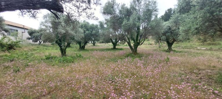 Αγροτεμάχια 2.001 τ.μ. για πώληση, Ν. Λευκάδας, Λευκάδα