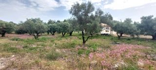 Αγροτεμάχια 2.001 τ.μ. για πώληση, Ν. Λευκάδας, Λευκάδα-thumb-3