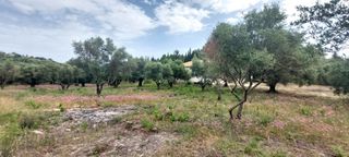 Αγροτεμάχια 2.001 τ.μ. για πώληση, Ν. Λευκάδας, Λευκάδα-thumb-7