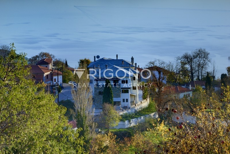 Ξενοδοχείο 1.730 τ.μ. προς πώληση, Κατωχώρι Πορταριάς