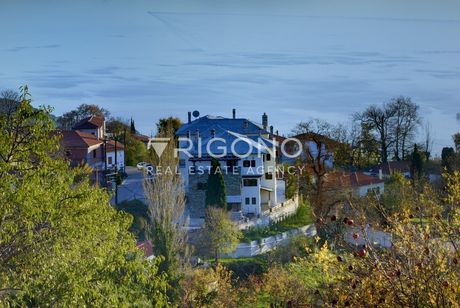 Hotel 1.730sqm for sale-Portaria » Katochori