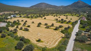 Αγροτεμάχια 31.148 τ.μ. για πώληση, Αργολίδα, Κρανίδι-thumb-2