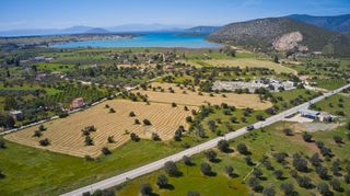 Αγροτεμάχια 31.148 τ.μ. για πώληση