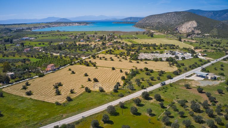 Αγροτεμάχια 31.148 τ.μ. για πώληση, Αργολίδα, Κρανίδι