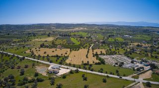 Αγροτεμάχια 31.148 τ.μ. για πώληση, Αργολίδα, Κρανίδι-thumb-19