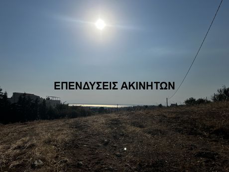 Αγροτεμάχια 2.500τ.μ. για πώληση-Πανόραμα » Συνοικισμός νόμου 751