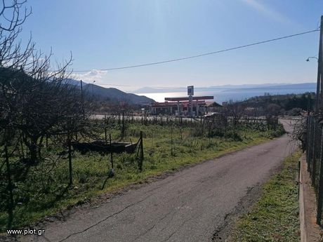 Parcel 1.200sqm for sale-Limni » Mirtias