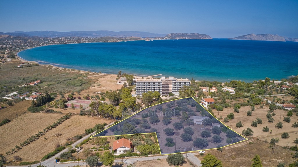 Αγροτεμάχια 6.012 τ.μ. προς πώληση, Πετροθάλασσα