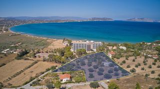 Αγροτεμάχια 6.012 τ.μ. προς πώληση, Πετροθάλασσα-thumb-1