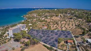Αγροτεμάχια 6.012 τ.μ. προς πώληση, Πετροθάλασσα-thumb-2