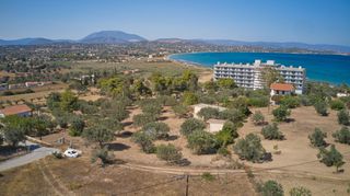 Αγροτεμάχια 6.012 τ.μ. προς πώληση, Πετροθάλασσα-thumb-5