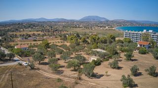 Αγροτεμάχια 6.012 τ.μ. προς πώληση, Πετροθάλασσα-thumb-13