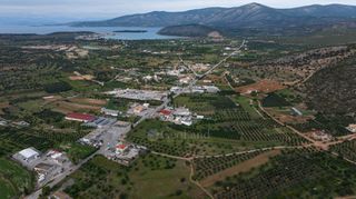 Αγροτεμάχια 12.000 τ.μ. πρός πώληση, Αργολίδα, Κρανίδι-thumb-6