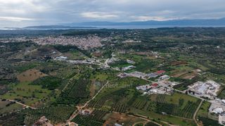 Αγροτεμάχια 12.000 τ.μ. πρός πώληση, Αργολίδα, Κρανίδι-thumb-17