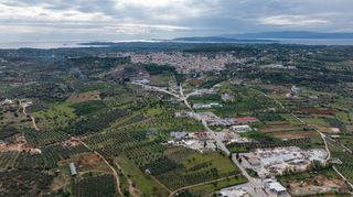 Αγροτεμάχια 12.000 τ.μ. πρός πώληση, Αργολίδα, Κρανίδι-thumb-14