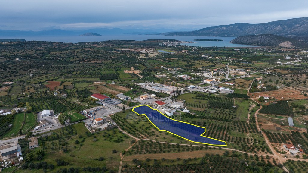 Αγροτεμάχια 12.000 τ.μ. πρός πώληση, Αργολίδα, Κρανίδι