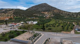 Αγροτεμάχια 12.000 τ.μ. πρός πώληση, Αργολίδα, Κρανίδι-thumb-15